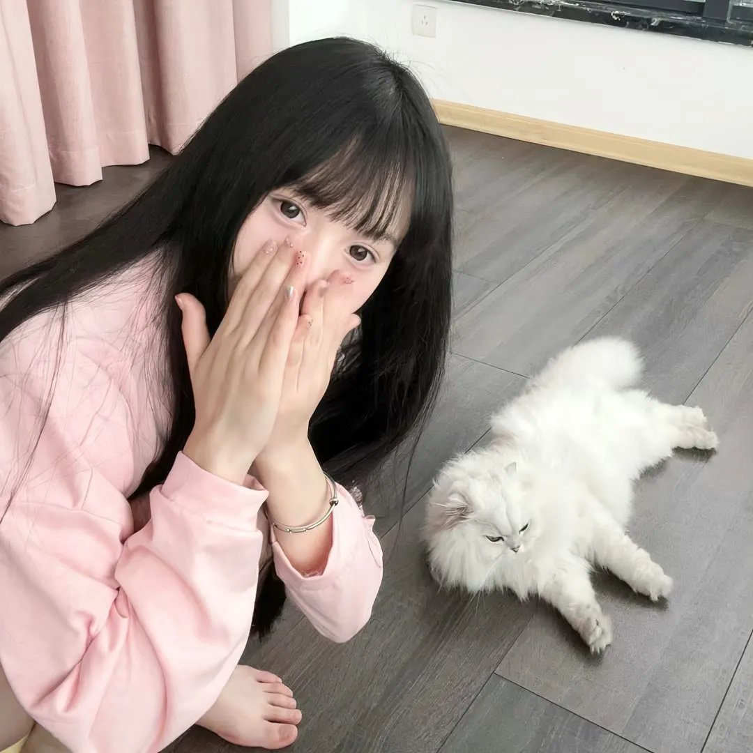 骆驼献舞